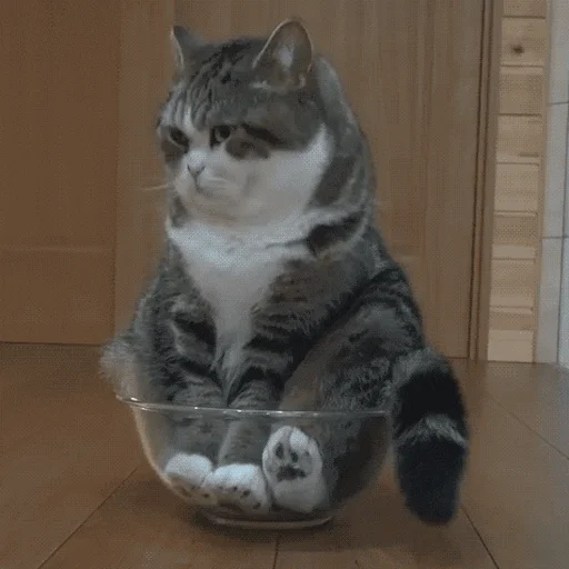 Beni mi çağırdınız?