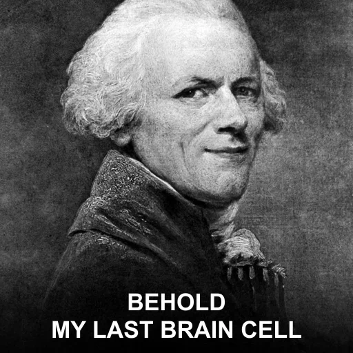 BEHOLD — MY LAST BRAIN CELL