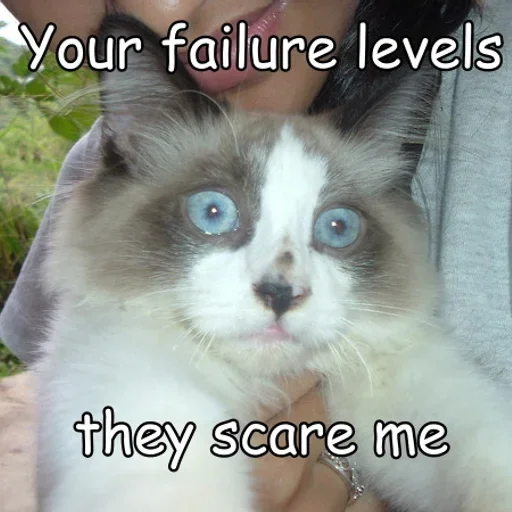 Epic fail cat