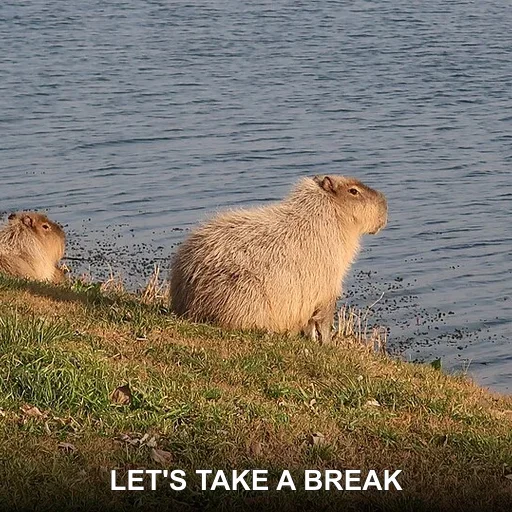 LET'S TAKE A BREAK