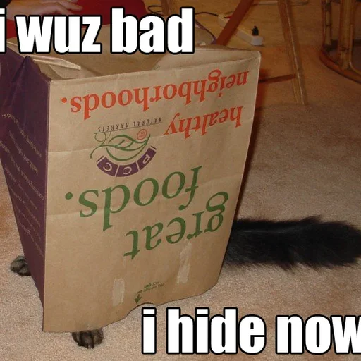 Nothing to see here