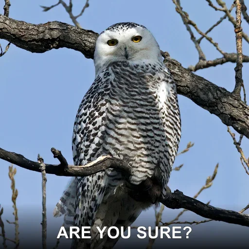 ARE YOU SURE?