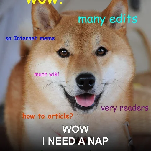 WOW — I NEED A NAP
