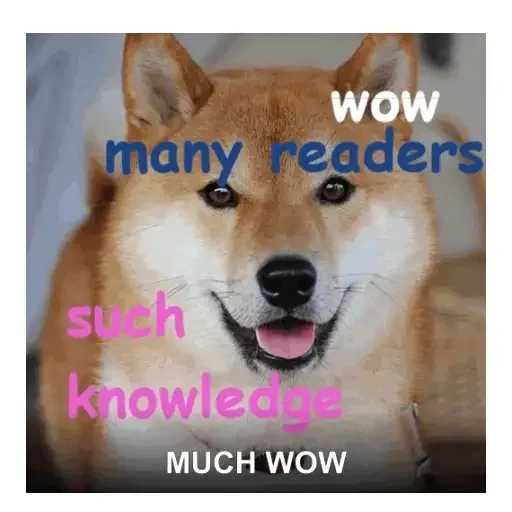 MUCH WOW · Bounce