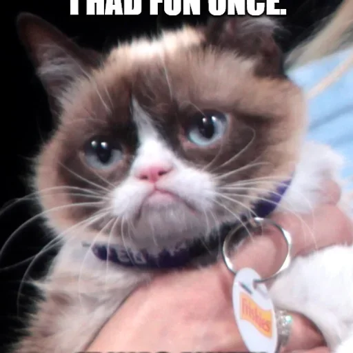 Grumpy Cat says no
