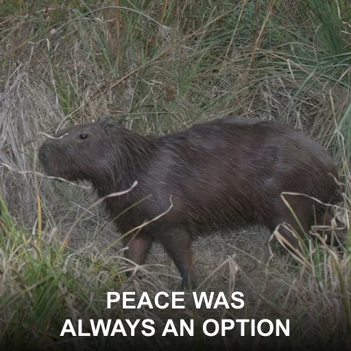 PEACE WAS — ALWAYS AN OPTION