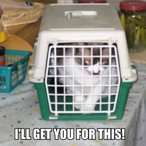 Let me out