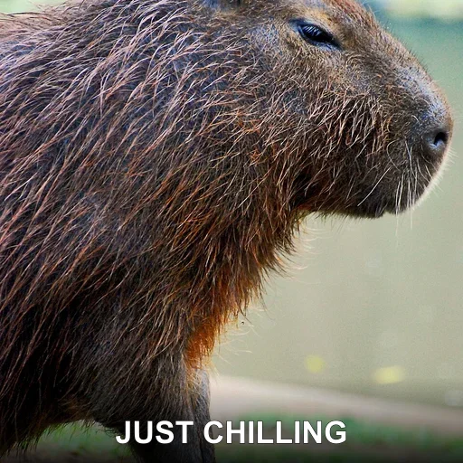 JUST CHILLING