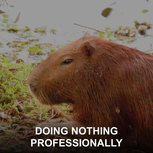 DOING NOTHING — PROFESSIONALLY