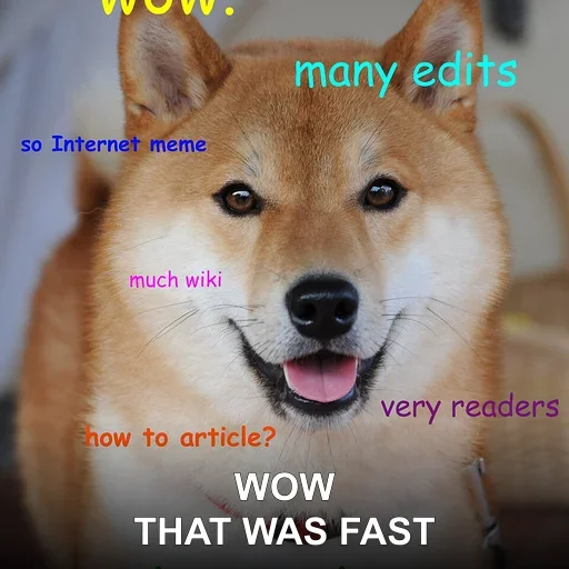 WOW — THAT WAS FAST