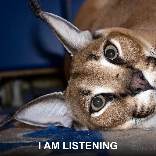I AM LISTENING