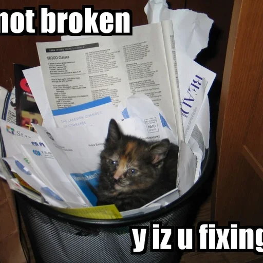 Not broken, just a cat