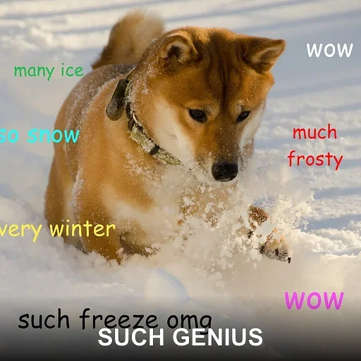 SUCH GENIUS